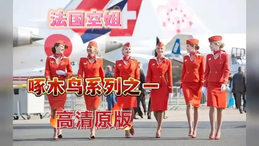 《法国空姐4》资源下载-法版空姐4全集高清免费在线观看-法国空姐1-3季完整版法国空姐4