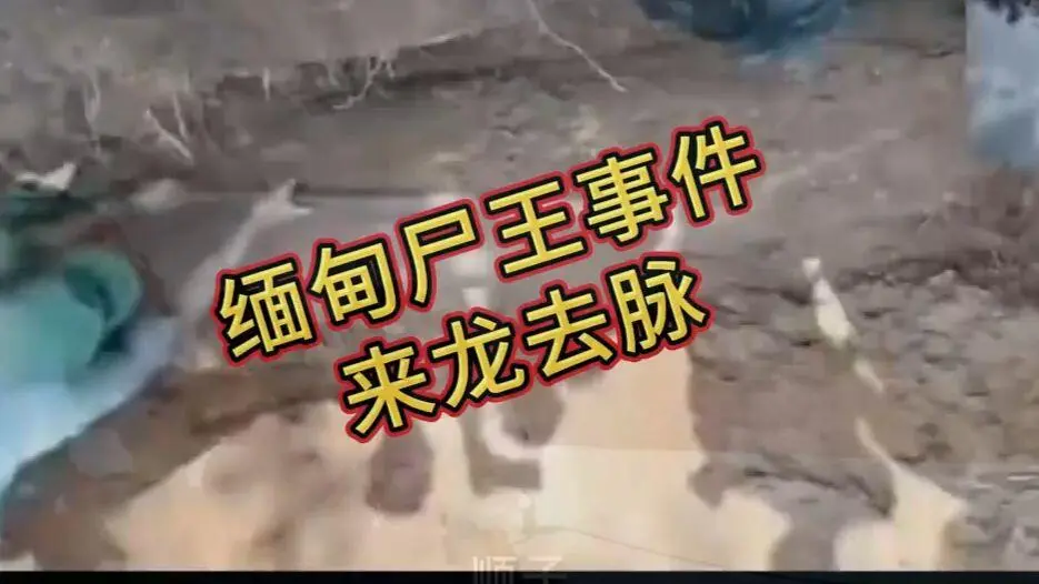 《缅甸僵尸出土事件视频》资源下载-完整版在线观看免费播放-缅北僵尸出土事件始末原视频高清下载-超清未删减全程录像