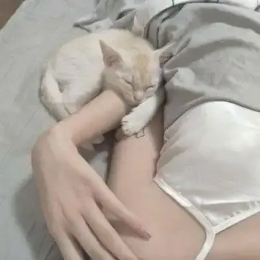 《森泽佳奈》高清全集未删减中文版免费在线看-无广告网盘资源-1080P蓝光画质-森泽佳奈全集珍藏版